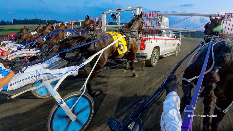 A view of horses and drivers lined up behind the starting gate at Woodbine Mohawk Park
