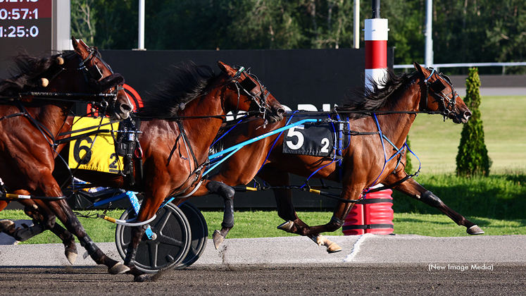 P N G Shadow winning at Woodbine Mohawk Park