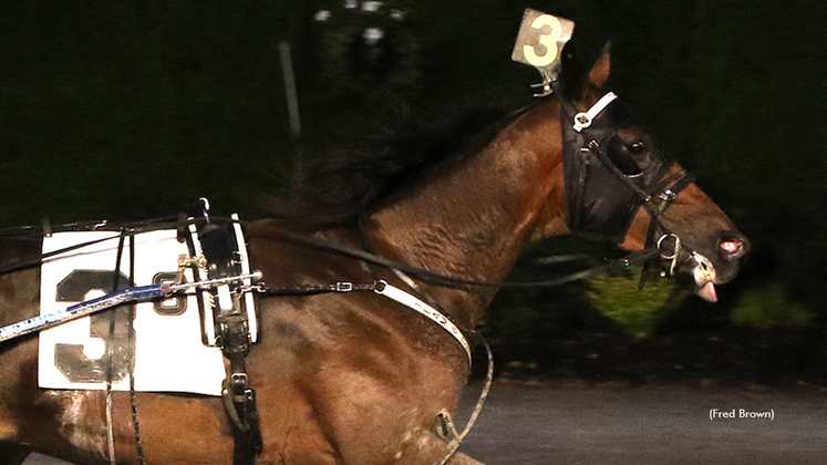 Purple Lord winning at Tioga Downs