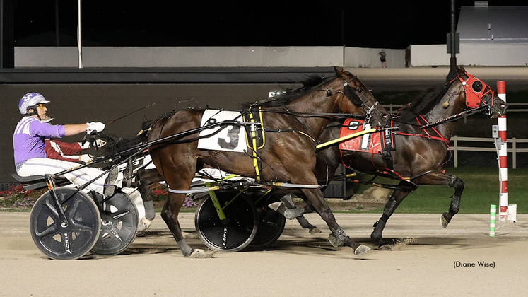 Anna Loves Bananas winning at Northfield Park
