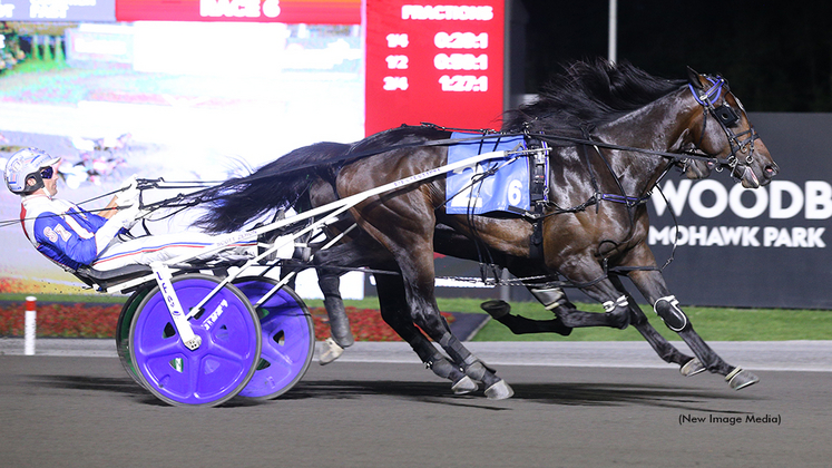 Ardonne winning at Woodbine Mohawk Park