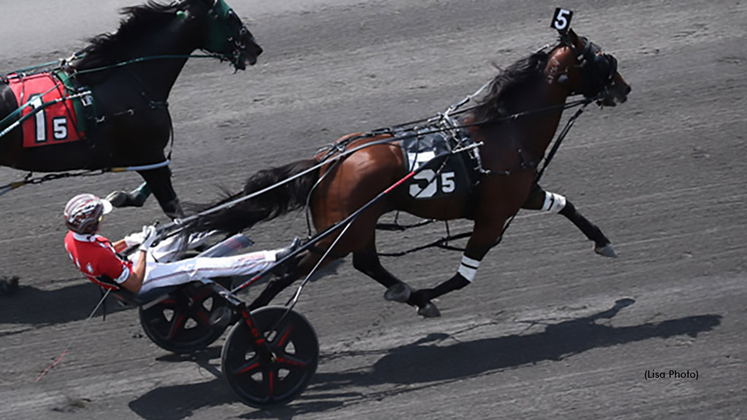 Captain Optimistic winning at The Meadowlands