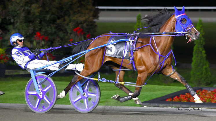 Caviar N Crackers winning at Woodbine Mohawk Park