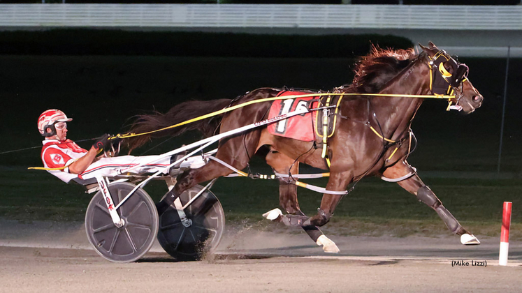 Dandy Ideal winning at Yonkers Raceway