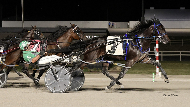 Hunka Hunka winning at Northfield Park