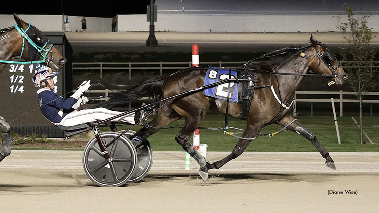 Judys Moni winning at Northfield Park
