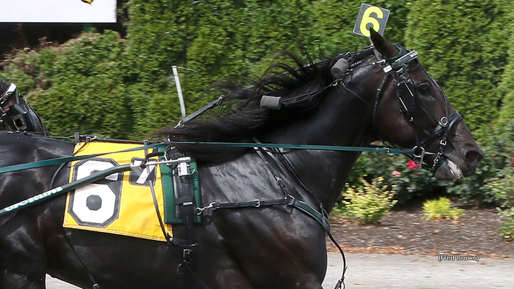 Madden Oaks winning at Tioga Downs