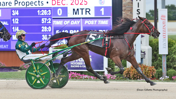 Miracle Maven