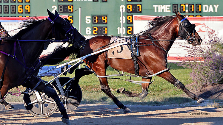 Odds On Ray winning at Scioto Downs