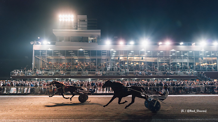 Racing at Red Shores Charlottetown