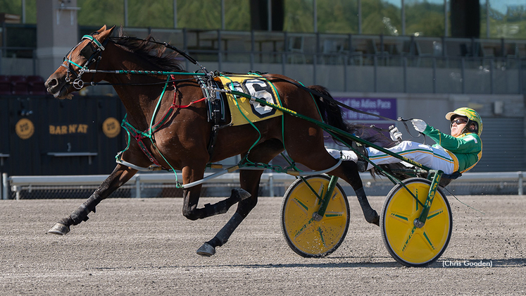 Royally Hot winning at The Meadows