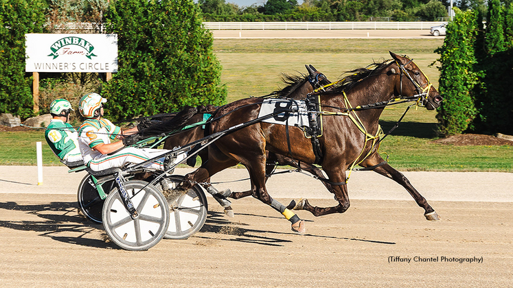 Show Me The Green winning at Grand River Raceway