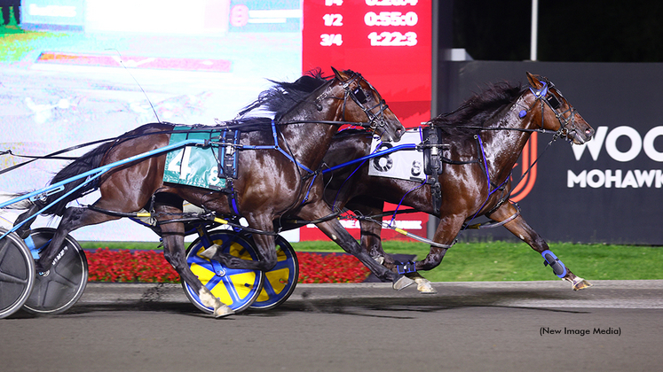 Sweet Lovin Lou winning at Woodbine Mohawk Park