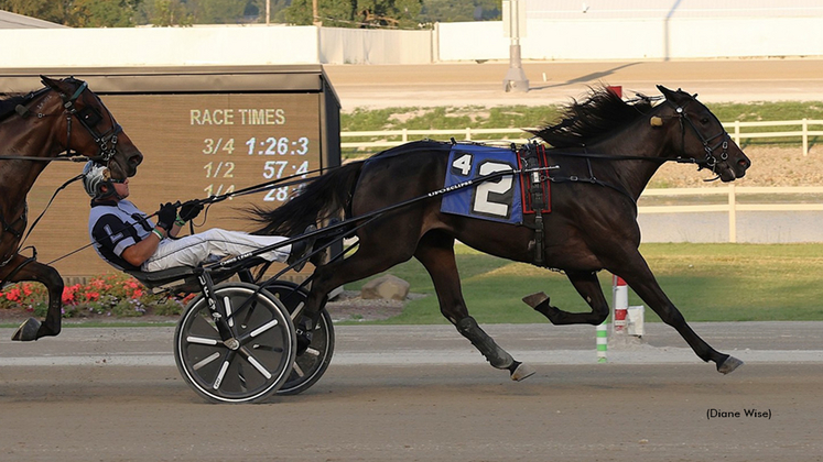 Sweet Rose winning at Northfield Park