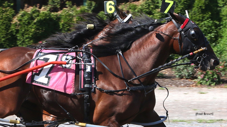 Unreasonable winning at Tioga Downs