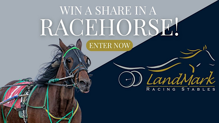 Win a share in a racehorse!
