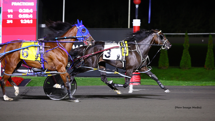 Absolution winning at Woodbine Mohawk Park