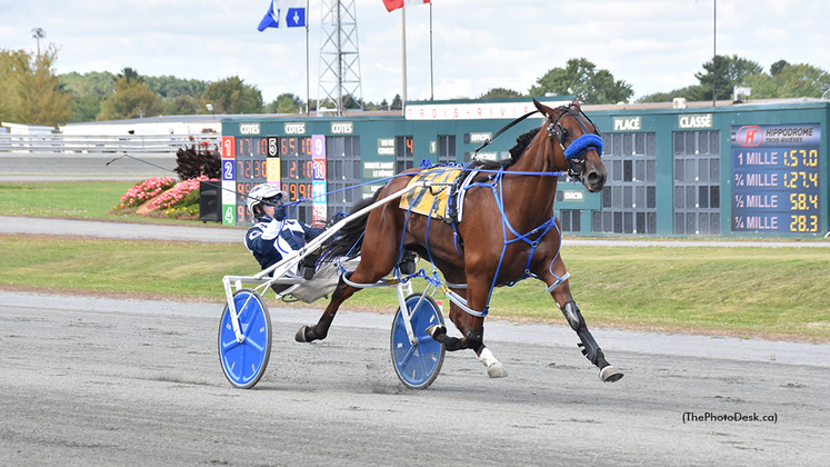 Cattlekiss winning at Hippodrome 3R