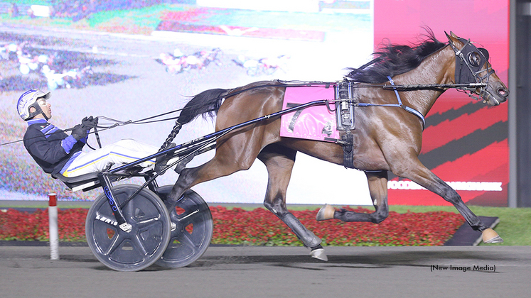 Denarius winning at Woodbine Mohawk Park