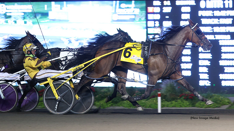 Desperate Man winning the 2021 North America Cup
