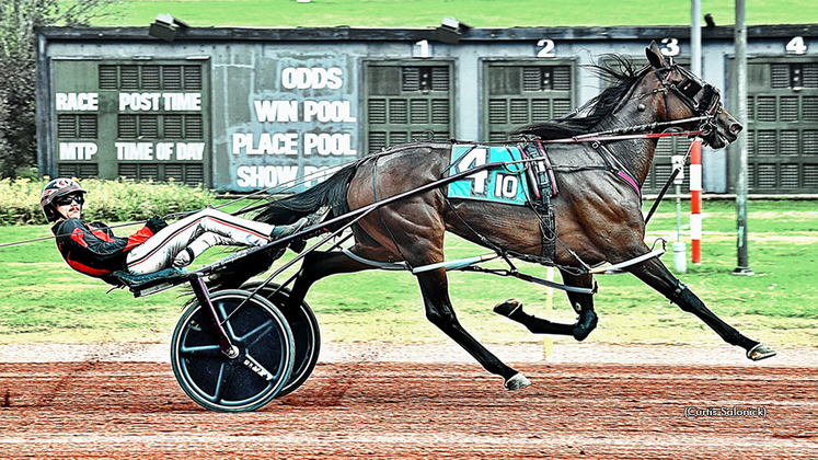 Fansville winning at Pocono Downs
