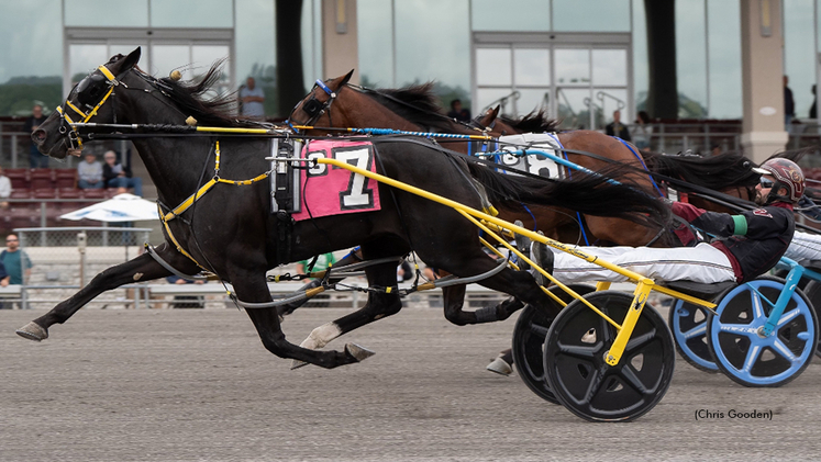Louprint winning at The Meadows