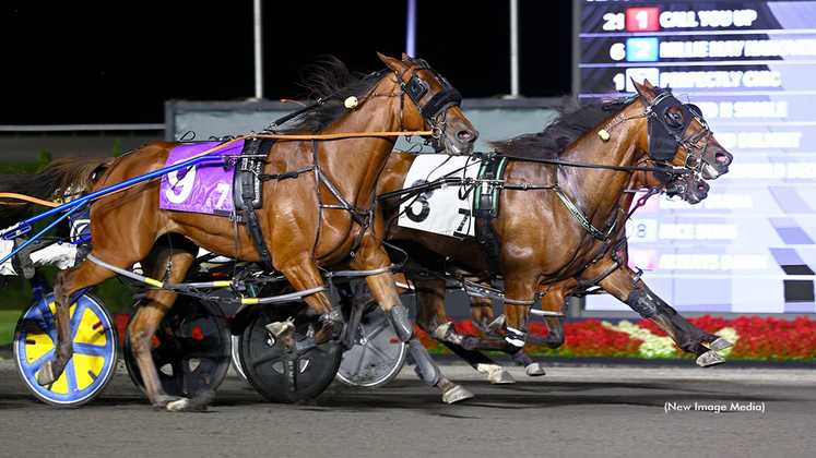 Perfectly Chic winning at Woodbine Mohawk Park