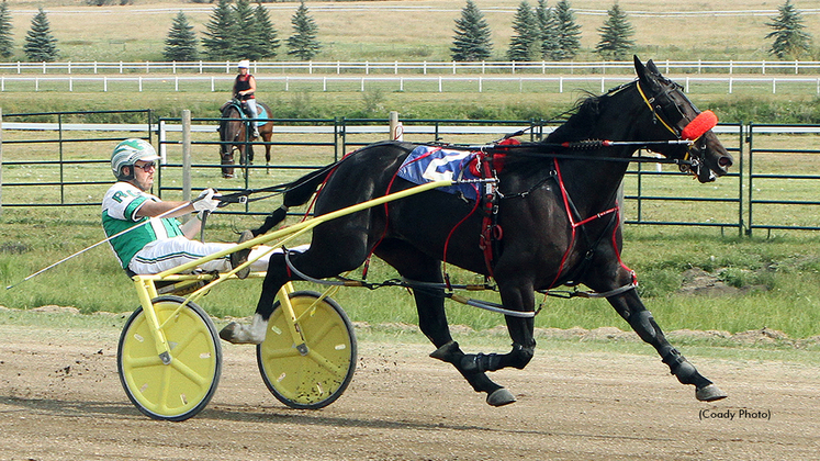 Poker Queen winning at The Track On 2