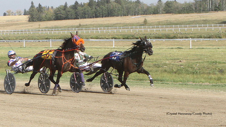 Ruler Of Dragons winning at The Track On 2