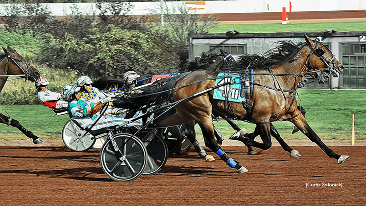 Scudo Hanover winning at Pocono Downs