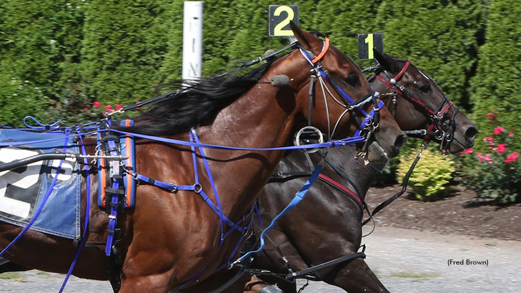 Typhoon Banner N winning at Tioga Downs