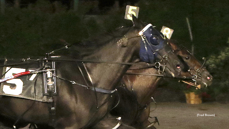 Watch Em Win winning at Tioga Downs