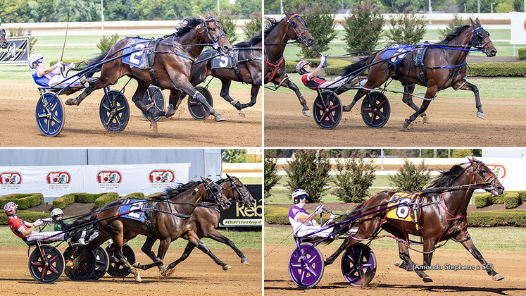 Clockwise from top left: 2025 Allerage Farms Open winners Periculum, Twin B Joe Fresh, Ken Hanover and Date Night Hanover
