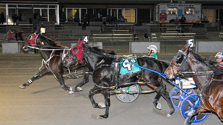 Aime Hanover