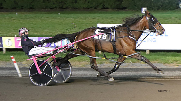 Darlins Angel winning at The Meadowlands