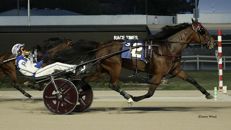 Dublins Breanna winning at Northfield Park