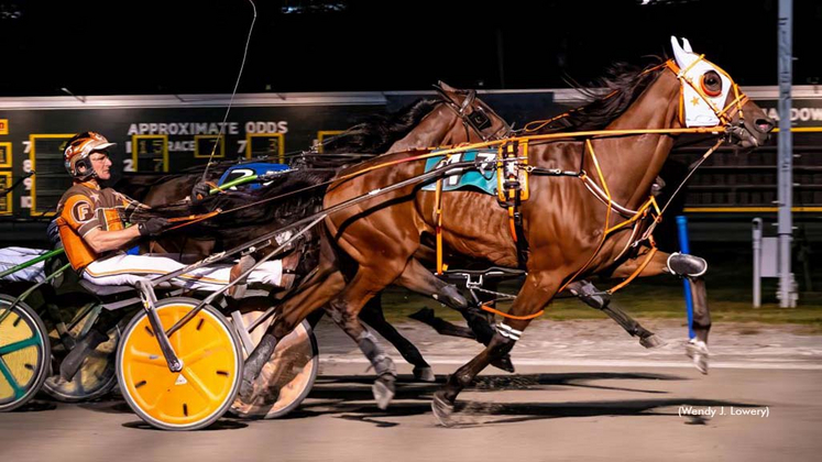 Good Boy winning at Batavia Downs