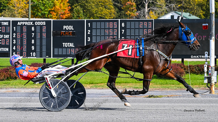 Jimble Kimble winning at Saratoga Raceway