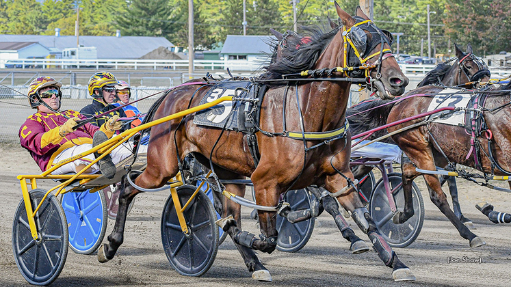 Leanne Marie winning at Fryeburg Fair