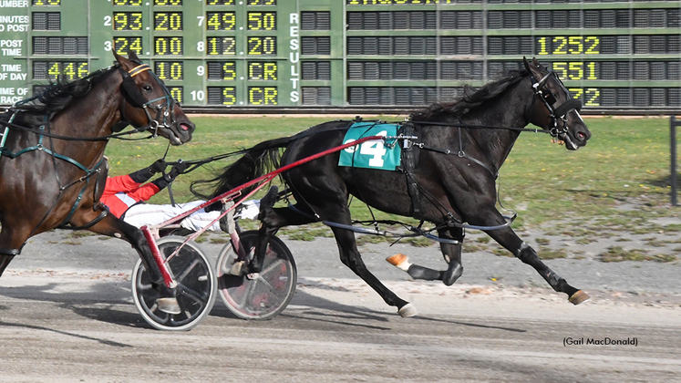 Malevolent winning at Charlottetown Driving Park