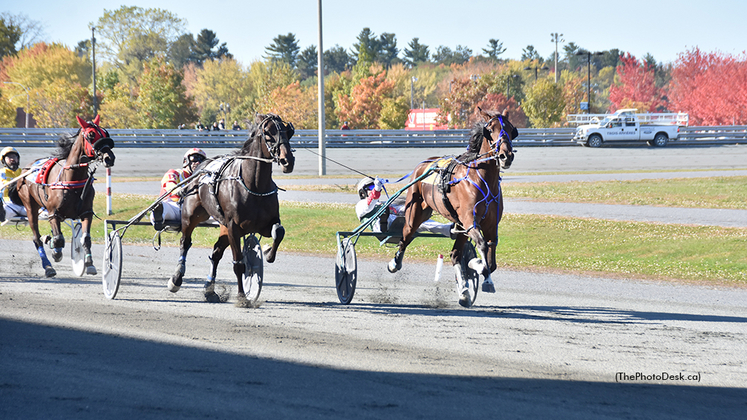 Mass Speed winning at Hippodrome 3R