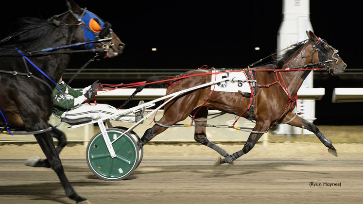 Stash The Cookies winning at Century Mile