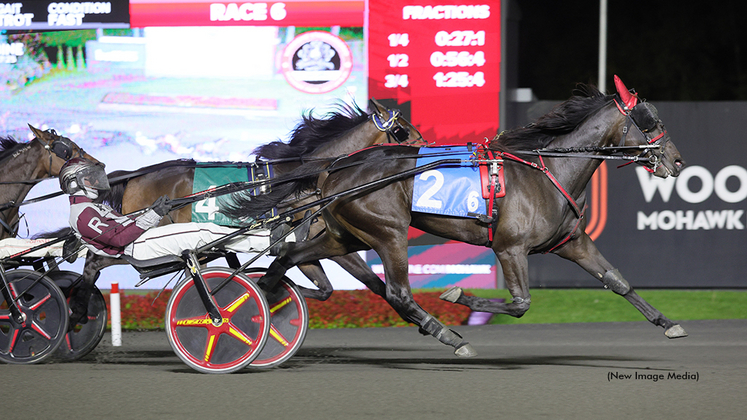 Storybook Love winning at Woodbine Mohawk Park