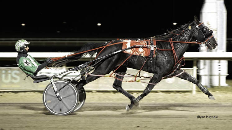 The Great Shark winning at Century Mile