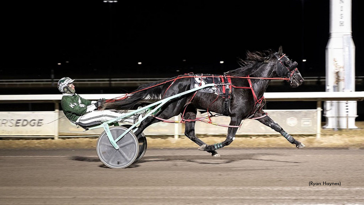 The Great Shark winning at Century Mile