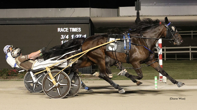 Travel Nurse winning at Northfield Park