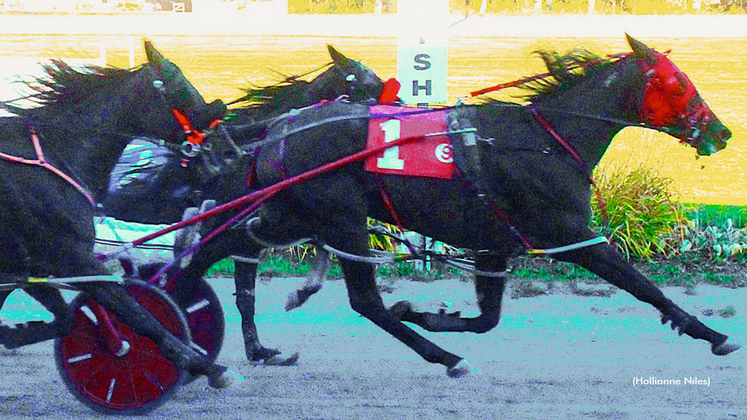 Venice Blue Chip