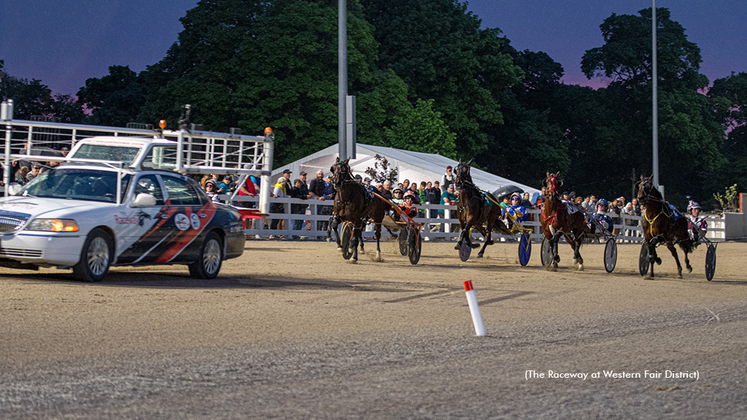 Harness racing at Western Fair Raceway