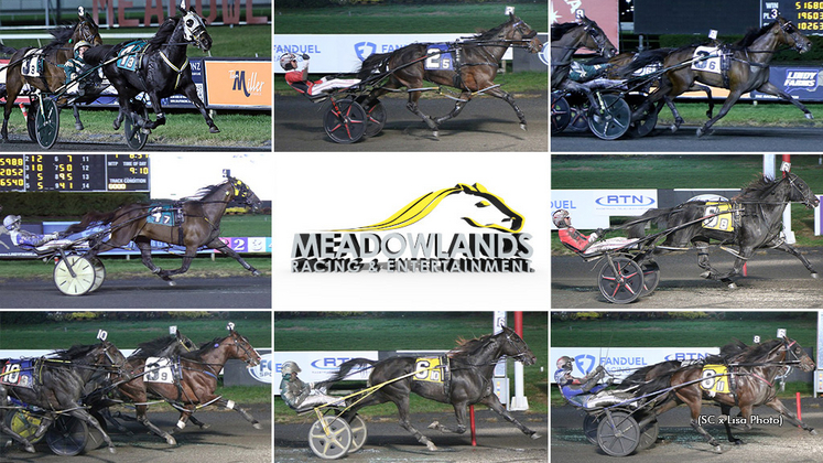 The FanDuel Championships and Fall Four Stakes winners in a collage