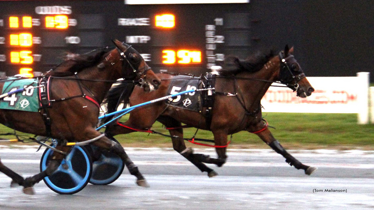 AlwaysBStunningN-111025-TomMelanson-1024px